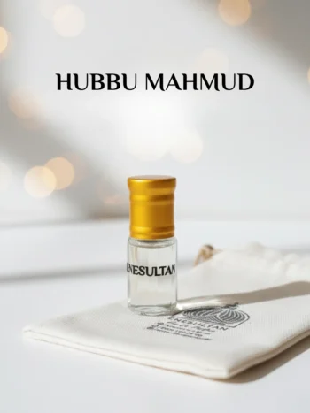 Alternative view of Hubbu Mahmud