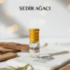 Sedir Ağacı