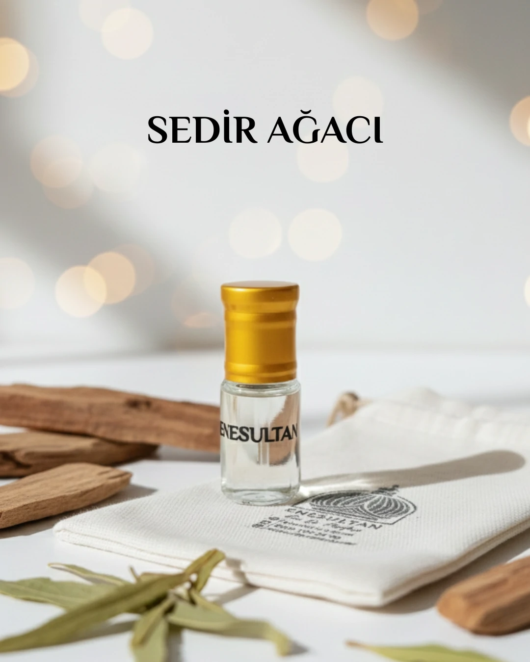 Sedir Ağacı