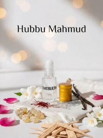 Hubbu Mahmud