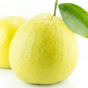 Kalabriya bergamotu